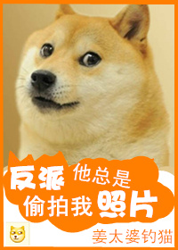 ����������͵������Ƭ