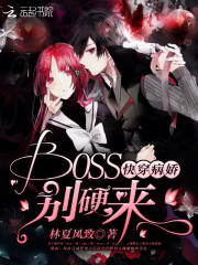 촩BOSSӲ