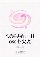 촩䣺Bossļ
