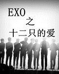 exo֮ʮֻİ